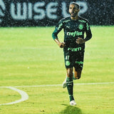 Palmeiras III